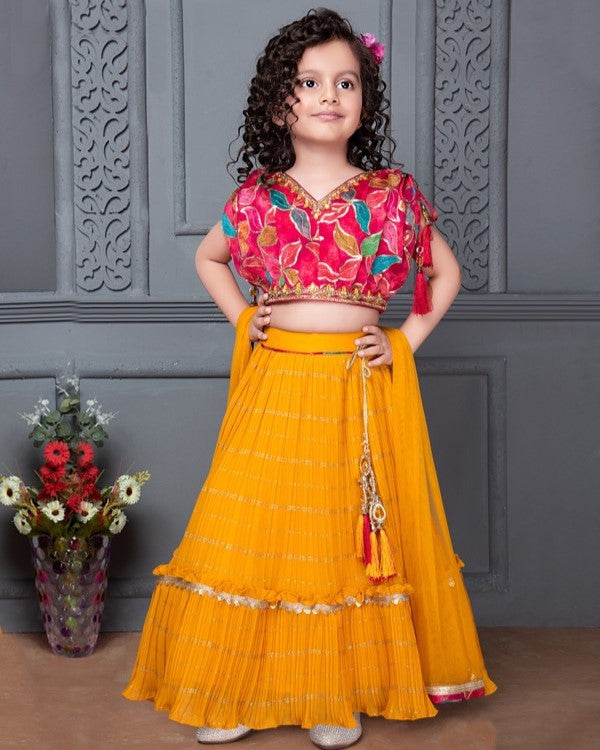 Beautiful Lehenga Choli Set For Girls